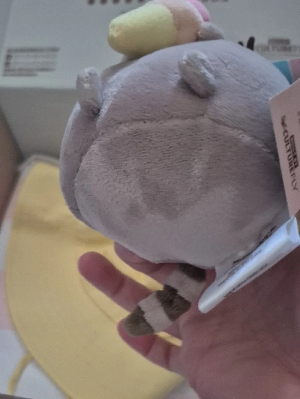 Pusheen 2026 summer